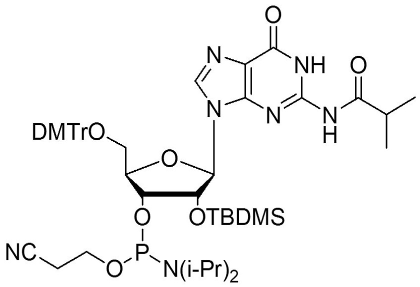 5'-ODMT-2’-OTBDMS-N-iBu guanosine amidite 